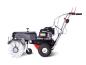 Preview: Kehrmaschine Limpar 78 II -Honda GCVx 170 OHV -10 Besatz Poly